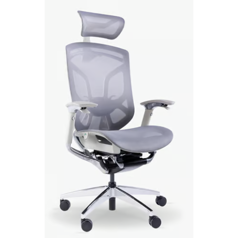 GTChair Dvary-X 人體工學辦公椅 (灰色)